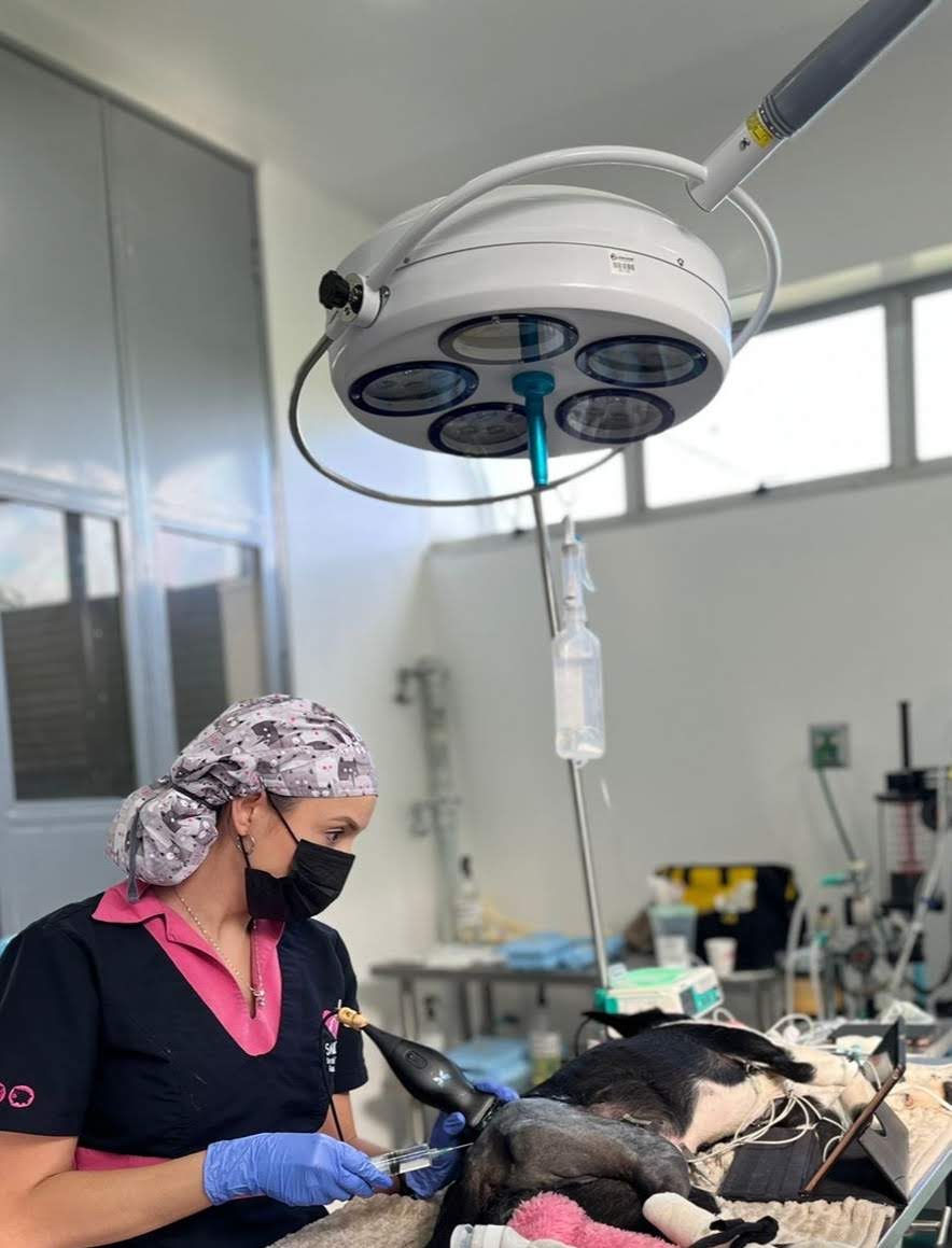 Dra. Alejandra realizando procedimiento de analgesia intervencionista