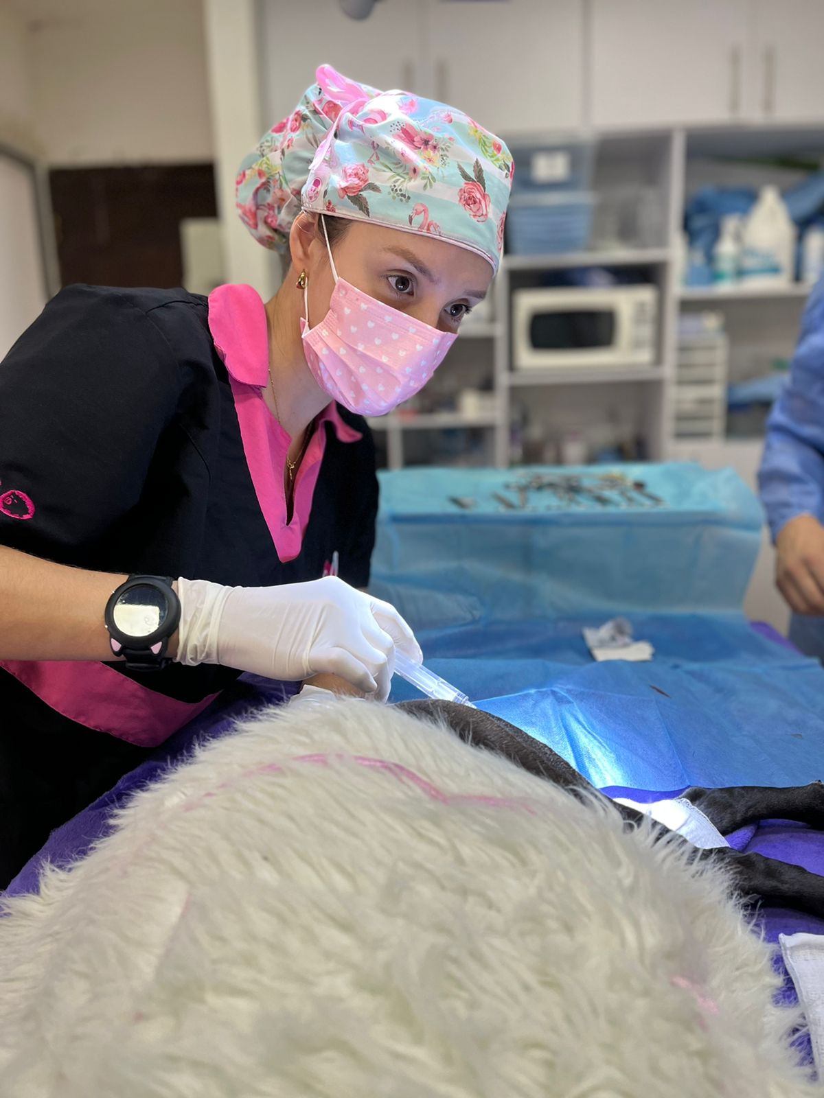 Dra. Alejandra realizando bloqueo nervioso guiado