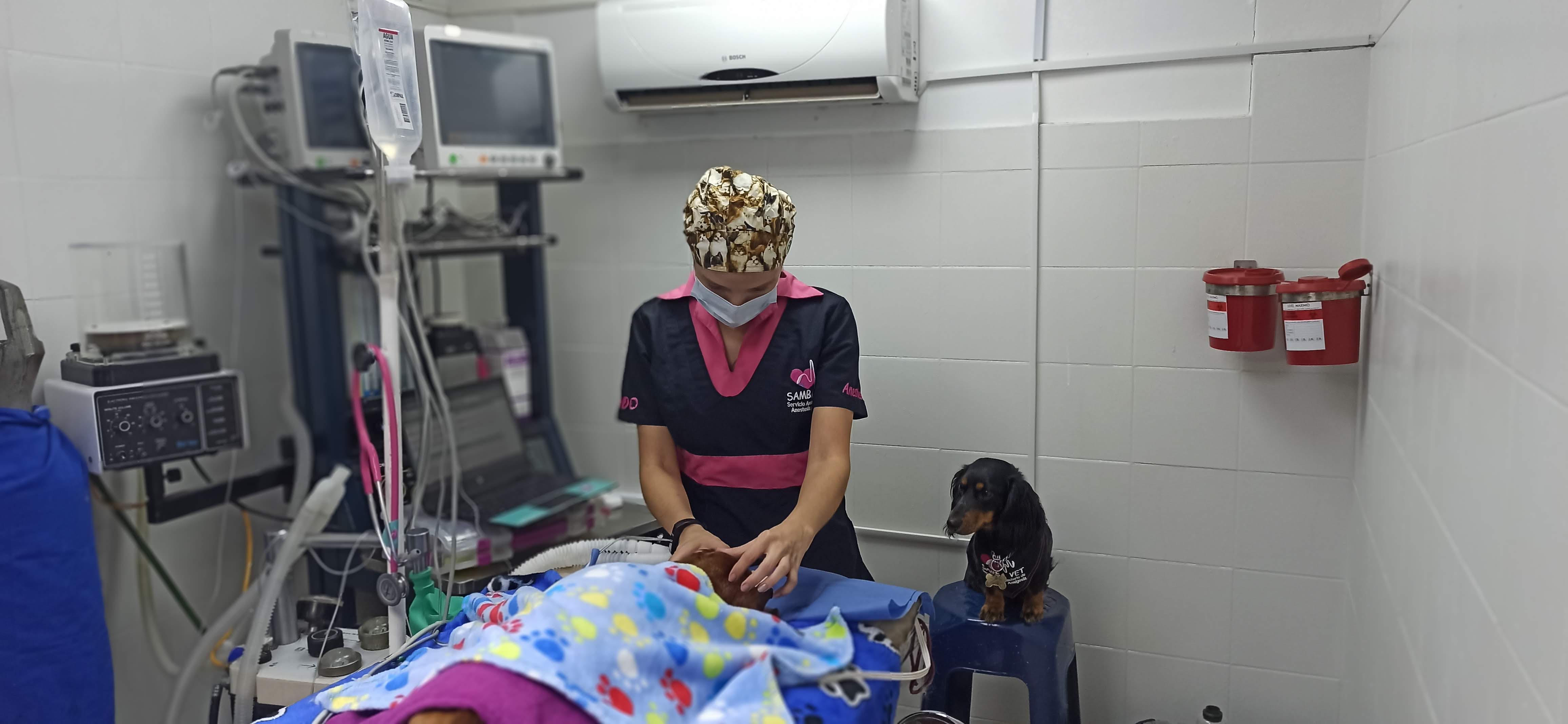 Ciruela acompañando a la Dra. Alejandra