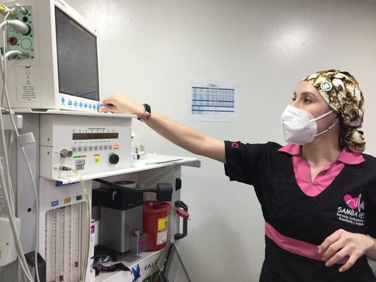 Anestesia veterinaria con monitorización