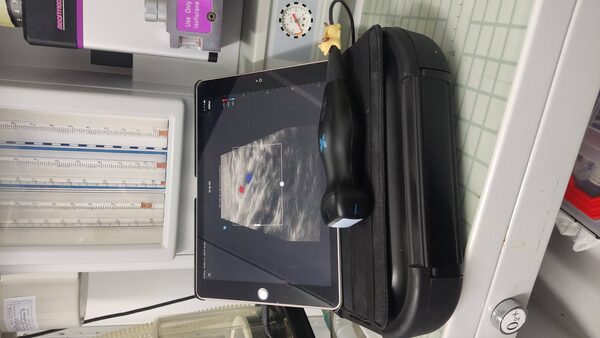 Manejo del dolor veterinario